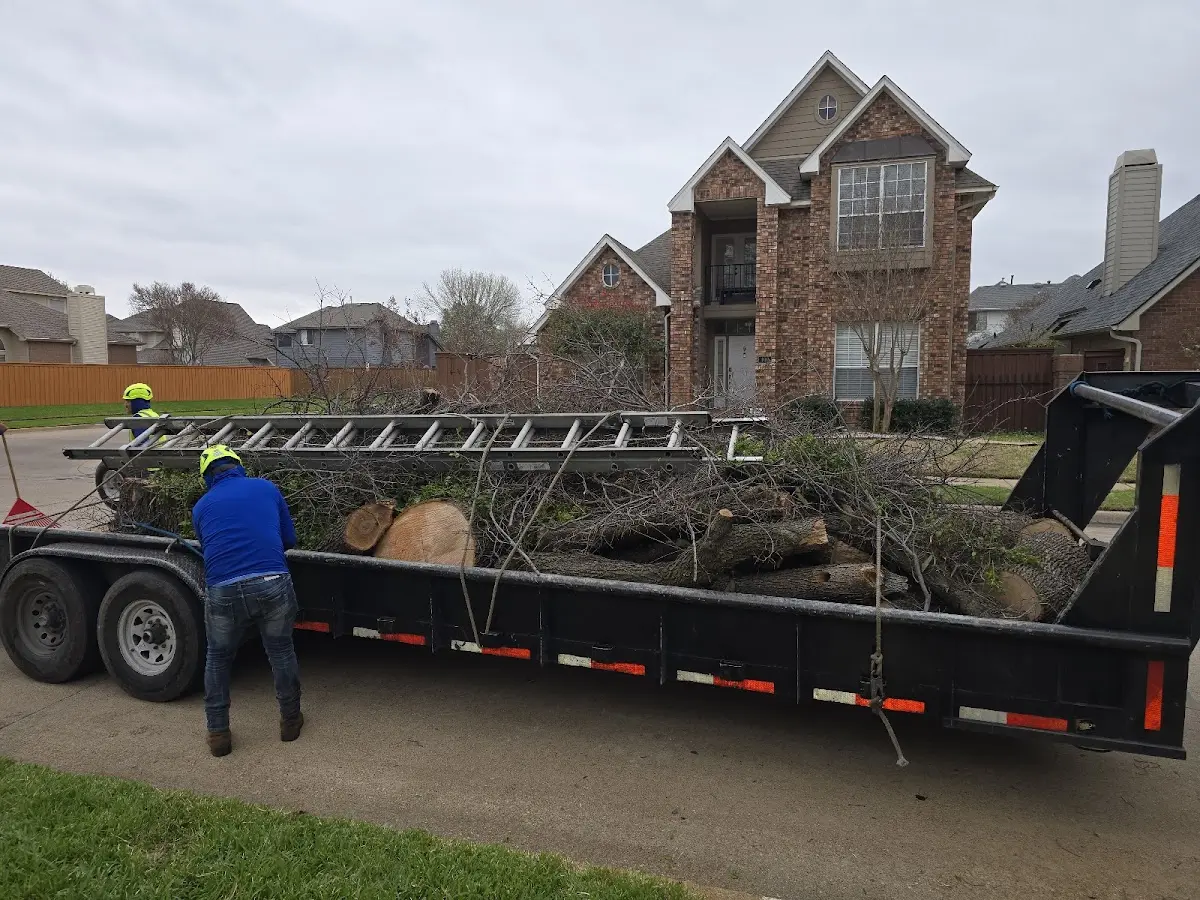 Expert Tree Pest Control with proper safety equipment in Groton